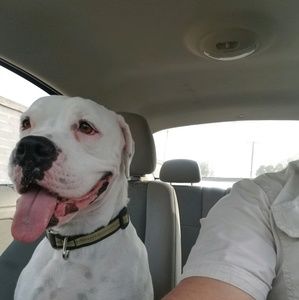 Meet your Posher, Julio